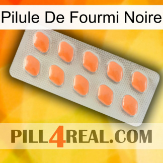 Black Ant Pill 26